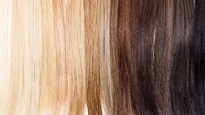 In ancient times, the dyes were obtained from plants. New Dye With Synthetic Melanin Imitates Natural Hair Color