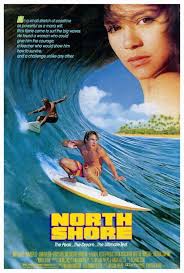 While we are talking about her performances and the actress as a whole, we want to now take you on a ride through a amanda righetti photo gallery. North Shore Meet 24x36 Tv Poster Brooke Burns Nikki Deloach Amanda Righetti