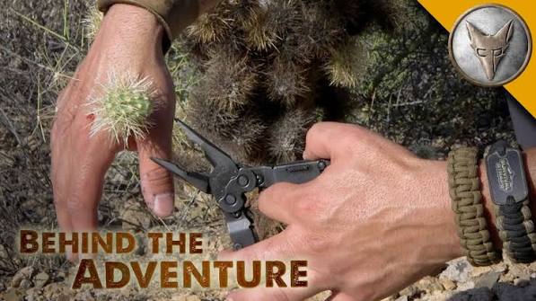 Ouch! Jumping Cactus Attack!
