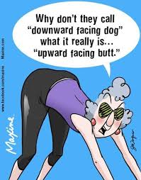 Pin On Maxine