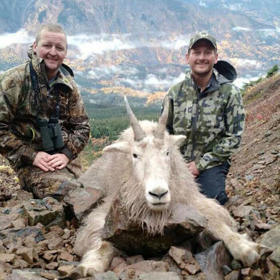 Mountain Goat - Golden Bear Outfitting | Elite Hunting in British Columbia