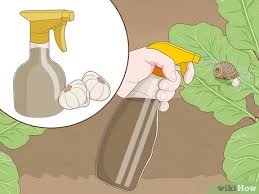 Simply place a strip of copper around your garden or any other place you'd like to keep snails away from. 3 Ways To Get Rid Of Snails Wikihow