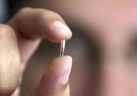 Instead it will identify which registry should be contacted when a lost pet is scanned and a microchip number is identified. Implant Or Gps Chip For Cats And Dogs How To Choose