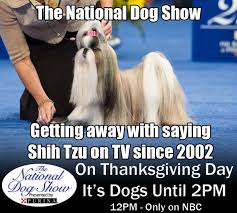 A dog may be a pet, but for many of us, they are just as much a part of the family as. Pet Life Radio Celebrates 10 Years With Thanksgiving Day National Dog Show Meme Contest Pet Life Radio Prlog