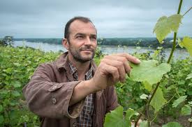 Gueules De Vignerons Vigneron Jean Yves Vignoble