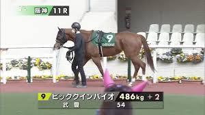 白泉社 月刊lalaにて連載中の、あきづき空太が送る大人気ファンタジーコミック「赤髪の白雪姫」のtvアニメ公式サイト。 アニメ ラブ マンガアニメ アニメのかわいいカップル かわいい 赤毛 プリンセス. Fwn6rhzd4aj7wm