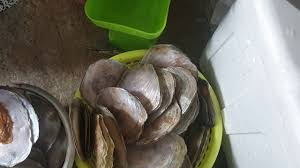 Rebus kerang dengan garam sampai matang. Resipi Pilaf Dengan Kerang Di Russianfood Com Resepi 2021