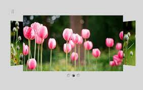 Better than any royalty free or stock photos. Free Online Photo Gallery