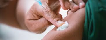 Vaksinen inneholder levende svekket meslingvirus dyrket i kyllingfosterceller (fibroblaster) i kultur. Vaksinering Store Medisinske Leksikon