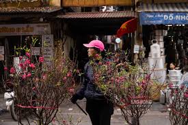 Chợ hoa Hàng Lược "đông khách ngắm, vắng khách mua" những ngày cận Tết