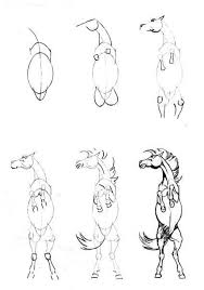 Wie Kann Man Ein Pferd Zeichnen Hier Finden Sie Alles Was Sie Brauchen Um Ein Pferd Zu Zeichnen Pferde Zeichnen Tiere Zeichnen Zeichenvorlagen