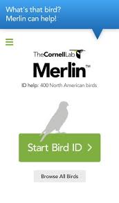 The top countries of suppliers are china, india, from which the. Merlin Bird Id By Cornell Lab Of Ornithology Merlin Bird Id How To Find Out Bird Identification