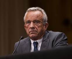 Bernardo Pimentel's Instagram, Twitter & Facebook