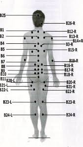 resultado de imagem para cupping points chart alternative