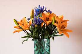 Maybe you would like to learn more about one of these? Are Lilies Poisonous To Dogs The Dog People By Rover Com