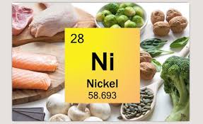 Frittelle di zucchine senza uovo; Alimentazione E Allergia Al Nichel Edy Virgili