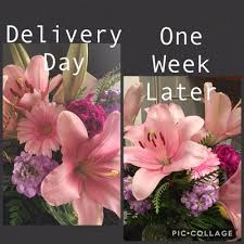 Anniversary flower arrangements & more. Hey Flower Man 73 Photos 74 Reviews Florists 2729 Carlsbad Blvd Carlsbad Ca United States Phone Number Yelp