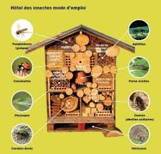 Les Auxiliaires Du Jardinier Gardeninsects Insect Hotel Bee Hotel Bug Hotel
