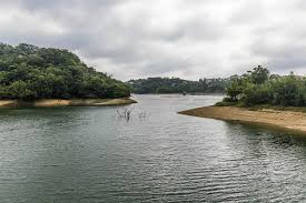 1935年，由 林蔚 定稿之國防計劃，主要內容是在鄭州、開封、徐州、海州及河南北部 汲縣 、 新鄉 、 輝縣 地區和京滬杭地區設施防禦陣地 7 :54 。 11月19日， 上海公共租界 一名日本 上海海軍特別陸戰隊 隊員中山秀雄被射殺，為 中山水兵射殺事件（日语：中山水兵射殺事件） 。 由於 日本海軍 與上海領. å°é›»æ¬²åœ¨å¯¶å±±æ°´åº«è¨­æµ®ç­'å¼å¤ªé™½èƒ½æ¿åœ°æ–¹åå° å·¥å•†æ™‚å ±