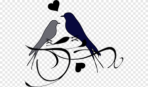 Untuk itu, pada kesempatan ini saya akan membagikan beberapa koleksi gambar burung mulai dari gambar burung hantu, gambar burung elang, burung cendrawasih, burug merak, merpati hingga lovebird. Buku Gambar Lovebird Buku Cinta Cabang Png Pngegg