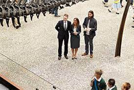 He received an advanced diploma in natural medicine from the. David Mayer De Rothschild The Storyteller Egon Zehnder