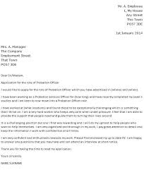 Samples Professional Character Reference Letter Examples Cover Letter For Resume Cover Letter Sample Job Letter