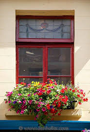 Letterbox flower delivery from bloom & wild, delight someone with a bouquet posted through their letterbox. Window W Flower Box In Galway Ireland Photo By Dan Heller Flower Boxes Window Box Garden Containers