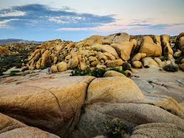 Maybe you would like to learn more about one of these? Jumbo Rocks Campground Joshua Tree National Park Recreation Gov