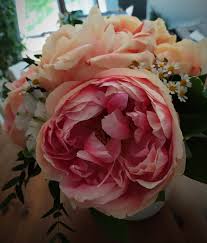 Check spelling or type a new query. Schone Pfingsten Orthopadie Osburg Ihre Praxis Fur Orthopadie Und Tcm In Wuppertal