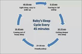 Baby S Sleep Cycle Getting Baby To Sleep Baby Sleep Cycles Help Baby Sleep