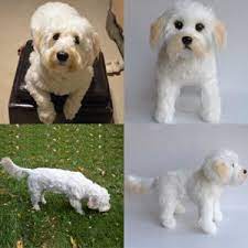 100 Custom Stuffed Animals Made To Look Just Like Your Pet They Re Called Cuddle Clones This Is Joey Custom Stuffed Animal Cute Dog Photos Goldendoodle