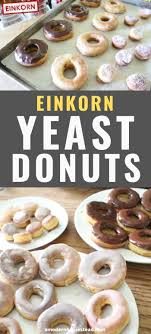 Easy Einkorn Yeast Donuts Ready In An Hour Recipe In 2020 Yeast Donuts Einkorn Recipes Donut Recipes