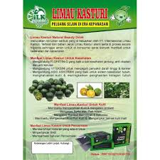 Kelebihan dan khasiat limau kasturi untuk kesihatan. Pengobatan Dan Khasiat Herbal Khasiat Limau Kasturi Untuk Kencing Manis