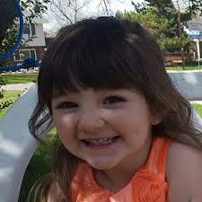 Klee Kai adoption or breeder groups?