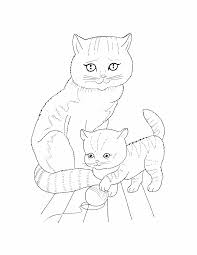 They are all free to print, and the kids will love coloring them in. Realistic Cat Coloring Pages Printable Kids Worksheets