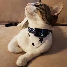 Hayvan Takip Cihazi Hayvan Takip Cihazi Kopek Kedi Takip Tasmasi