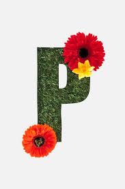 Here are 10 fun phosphorus facts. Top View Of Cut Out P Letter Free Stock Photo And Image