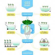Jenis Jenis Sistem Hidroponik Hydroponics Verticalgarden Urbanfarming Gardening Natural Fresh Hydroponics Hydroponics Diy Hydroponic Farming