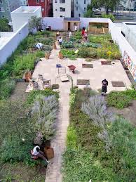 Fresh Small Vegetable Garden Design With Ravishing Rooftop Garden Design With Some Green Plants Also Vegetables A Roof Garden Design Rooftop Garden Roof Garden