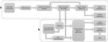 We don't support your browser anymore. Machine Learning With The Tcga Hnsc Dataset Improving Usability By Addressing Inconsistency Sparsity And High Dimensionality Springerlink