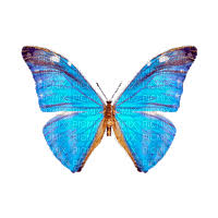 Https Encrypted Tbn0 Gstatic Com Images Q Tbn 3aand9gcrjehgaii3nxbg6qzdc1kyp2yvuc5dicznv1g Usqp Cau