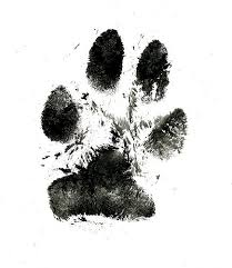 Black And White Paw Print Black And White Paw Print Realistic Google Search Dog Print Tattoo Pawprint Tattoo Dog Tattoos