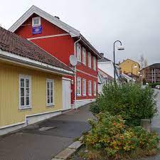 This site uses analytics cookies from other sites in order to monitor usage on the site and optimise functionality. Oslo Norge Valerenga