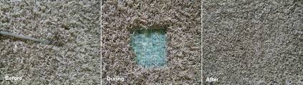 Hirerush.com helps you find best carpet cleaners in boulder, co and get free hello we are offering cleaning service in the boulder area, and others like lafayette, bromfield, erie, longmont, lyons etc. Carpet Repair In Colorado Springs Carpet Restoration Services