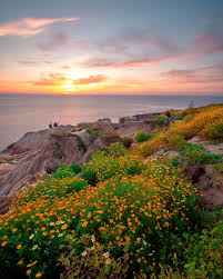 62 likes · 45 were here. San Diego On Twitter Must Do Before Summer Ends Catch A Sunset At Sunset Cliffs Point Loma Ig The Robmatarazzo