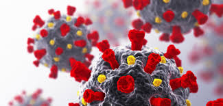 Hiv destroys these cd4 cells. Hiv And Covid 19 What Do We Know Now Poz