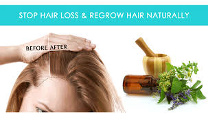 Daily hair drying can cause your hair to lose moisture, which can cause your hair to be dry and brittle. Best Summer Hair Care Hacks For Hair Growth Dry Hair Hair Fall Dandruff Split Ends Fashionistaplanet