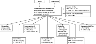 A Classification Of Chronic Pain For Icd 11 Abstract Europe Pmc