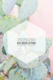 Pin On Wallpapers