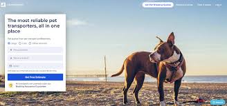 If you want to get a greater idea of the type of costings you might be looking at, you can check our cost to transport a pet page. 9 Best P2p Delivery Jobs 2021 Get Paid To Deliver Packages